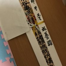 犬のトレーニング,しつけ,飼い方: