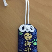 犬のトレーニング,しつけ,飼い方: