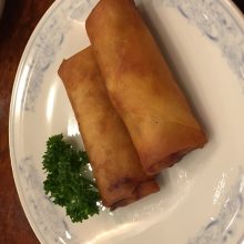 犬のトレーニング,しつけ,飼い方: