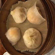 犬のトレーニング,しつけ,飼い方: