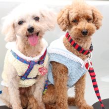 犬のトレーニング,しつけ,飼い方: