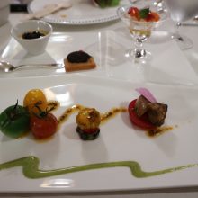 犬のトレーニング,しつけ,飼い方: