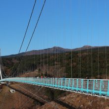 犬のトレーニング,しつけ,飼い方: