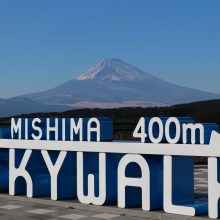 犬のトレーニング,しつけ,飼い方: