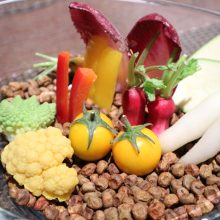 犬のトレーニング,しつけ,飼い方: