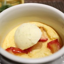 犬のトレーニング,しつけ,飼い方: