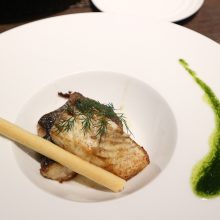 犬のトレーニング,しつけ,飼い方: