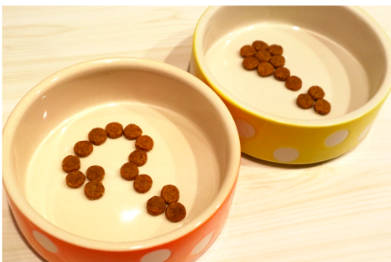 犬のトレーニング,しつけ,飼い方: