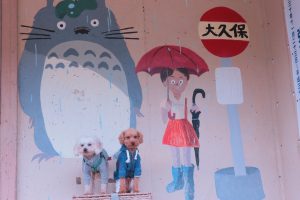 犬のトレーニング,しつけ,飼い方: