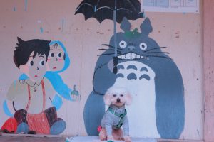 犬のトレーニング,しつけ,飼い方:
